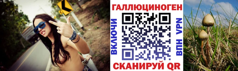 Псилоцибиновые грибы мицелий  darknet официальный сайт  Зверево 